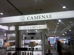 秦皇岛小马广告策划 专业广告设计，全方位产品展示解决方案