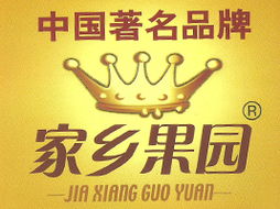 胜隆饮料食品厂江苏徐州代理意向与软件开发整合策略